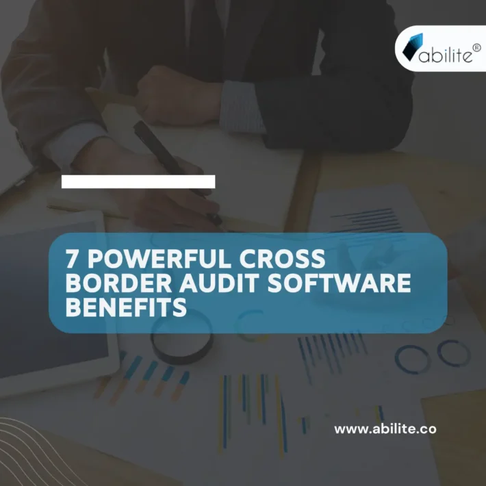 Cross Border Audit Software