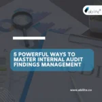Internal audit findings management