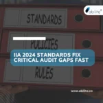 IIA 2024 Standards