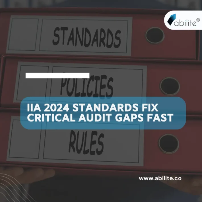 IIA 2024 Standards